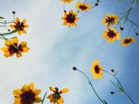 恋が必要なかったあの頃、自然に惹かれた関係性は確かに恋だった