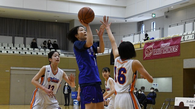 星槎湘南―立川ダイス