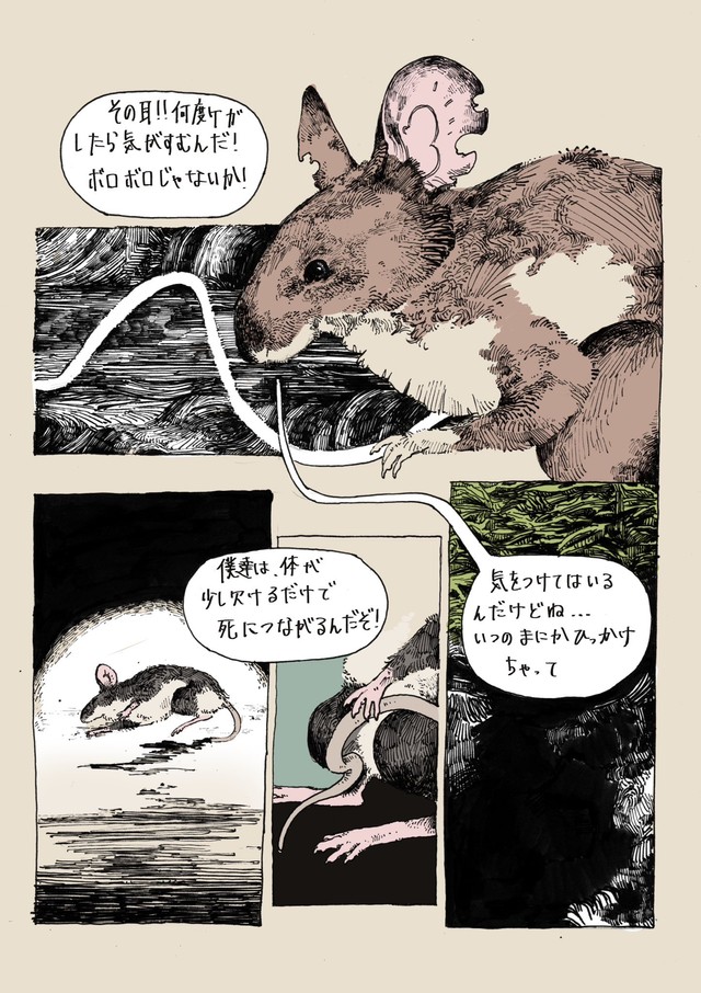 赤毛に注意する黒毛　（胡桃さんの提供）
