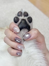 赤ちゃんコーギーの肉球が話題に（画像提供：しっぽコーギーのまるころさん）