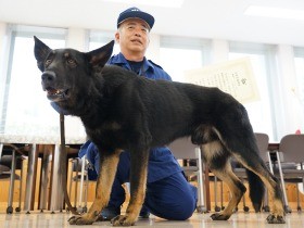 警察犬ヤール号、４度目の表彰　行方不明者の発見に貢献