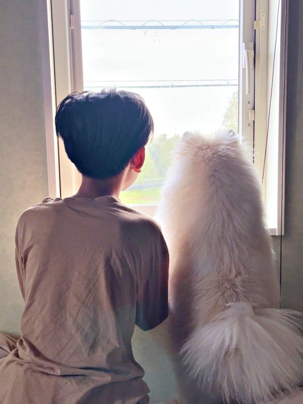 堤防を眺める息子さんとちくわくん（画像提供：ちくわ（白ポメラニアン）さん）