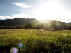 父の死を経て、いつも今いる場所から逃げようとしていた私と向き合う