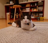 ガーラさんの表情の違いがわかるようになるには、まだまだ時間が必要そうです（提供：松本ひで吉さん）