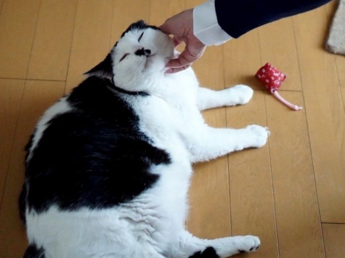 ぬくぬく、グルグル…