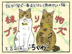 ひかえめボーイ、愛猫「ちくわ」が突然お腹丸出しの甘えん坊に　その変貌に一家あぜん