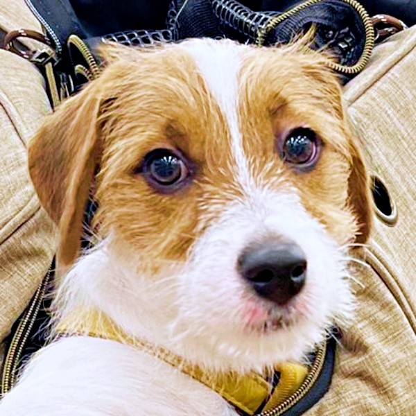 ぱやちゃんの「片腕出しスタイル」！ こなれ感が「かわいすぎる」と話題にーー（画像提供：ぱやりんこさん）