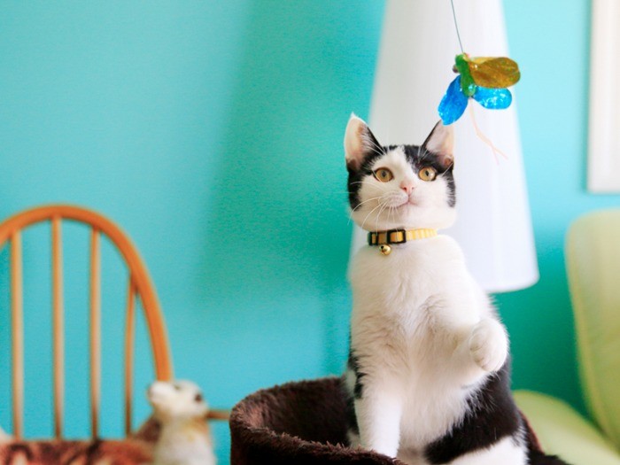 そろそろ、慣れて来たかな？遊びに誘う。