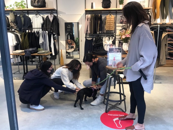 人気もののボルちゃん。「イグナイト」の１階にある「ルルレモン」ではいつもみんながボルちゃんをかわいがる