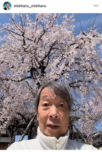 見栄晴インスタグラム＠mieharu_mieharuより