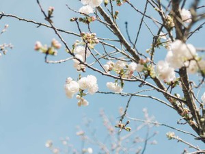 いじめられた過去を見返すために生きるのはやめた