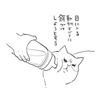 ガーラさんを餌づけしようとするぱるたん　【漫画】ぱるたん「５０８日目」⑧（提供：松本ひで吉さん）