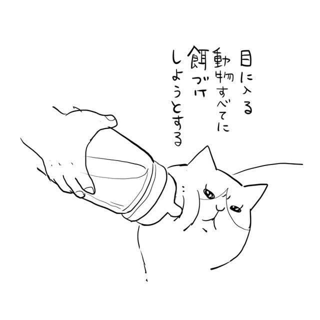 ガーラさんを餌づけしようとするぱるたん　【漫画】ぱるたん「５０８日目」⑧（提供：松本ひで吉さん）