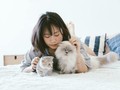 私が逃れた「呪縛」から妹を解放してくれるのは、猫を飼うという選択肢