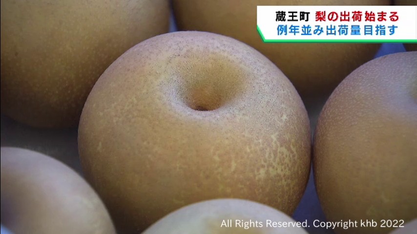 秋の味覚　宮城・蔵王町で梨の出荷　宮城・大崎市では新米の等級検査 | khb東日本放送