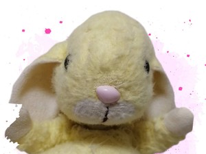 きいろのうさぎ