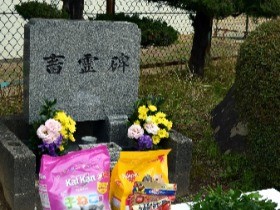 殺処分された犬猫を供養　「飼う側は責任を感じて」
