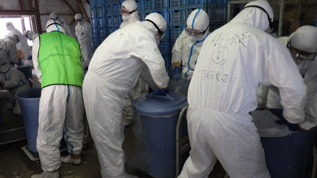 東かがわ市の鳥インフルエンザ　2月3日に移動制限区域解除へ　香川