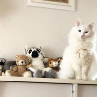 ぬいぐるみに見えるかしら