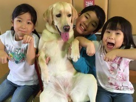 盲導犬めざす子犬を１年だけ預かる…　飼い主家族に大きな変化