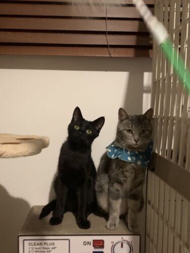 リズに付き合い、おもちゃには興味を示したアルくん、今よりだいぶ小さい！（恵里さん提供）