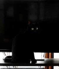 ここにキラリと光る目が見えます（写真提供：マクーさん）