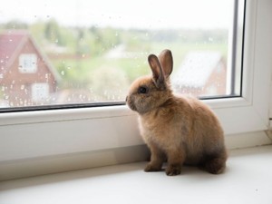 3年間誰も近づけなかった冷酷イケメン。別れるきっかけは、愛していたはずの彼のこだわり