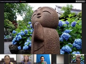 秋田でアジサイの名所と太鼓ライブを楽しむ「オンライン絶景ツアー」の実力