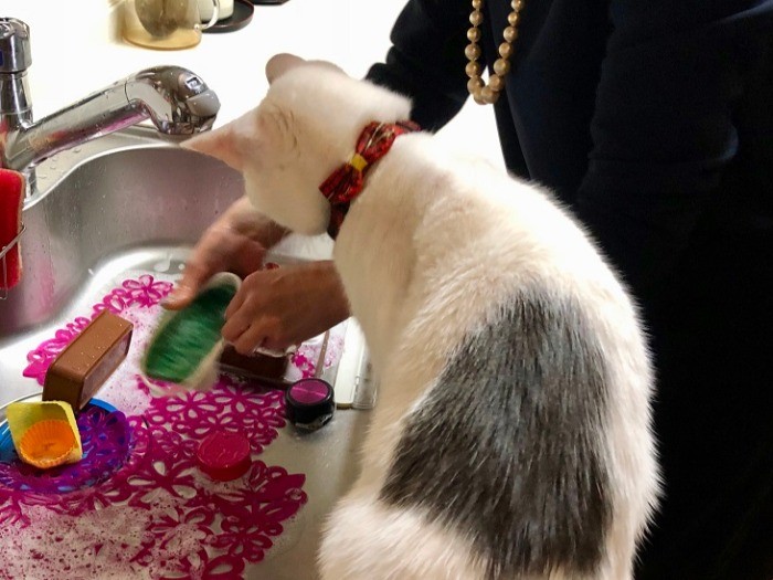 泡泡、面白いね