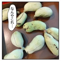 【漫画】『ダンナが貰ってきた謎のフルーツ』③
（もっこさん提供）