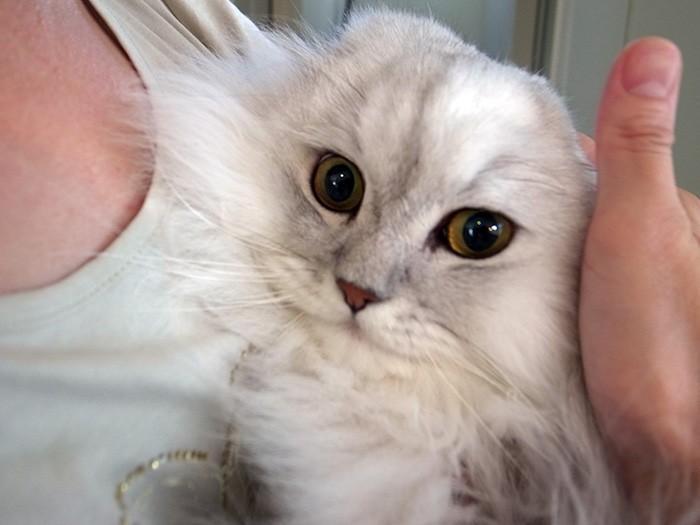 実は、甘えん坊