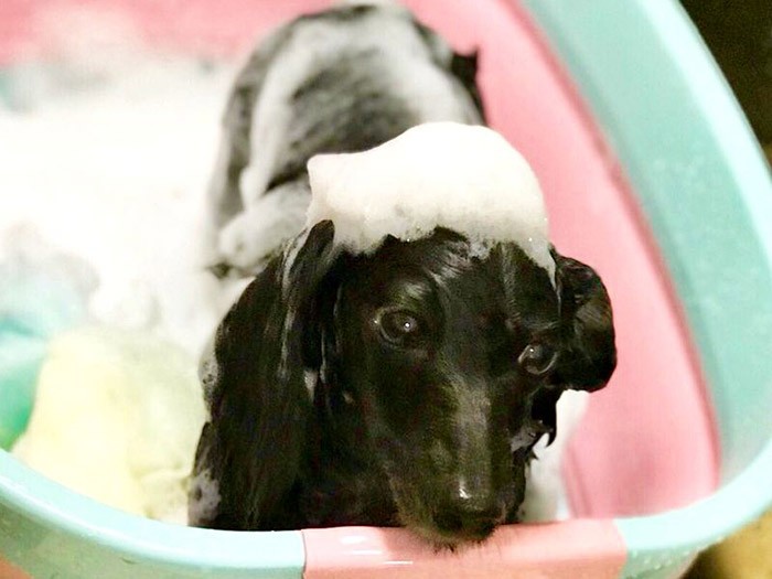 シャンプーで美人に磨きをかけてるの