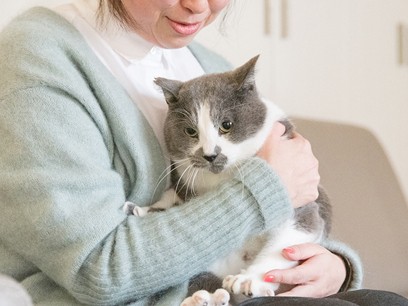 山育ち、インスタで大人気の猫「くまお」　保護活動にも協力