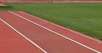 あなたのスポーツ才能はどのタイプ？岡山市の大学が「スポーツ能力測定」を実施
