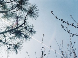 YouTuberごっこも、エッセイも。療養中の自分は嬉し泣きした