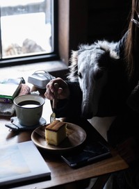 必死にカステラを食べようと試みる（提供：中道　智大さん）