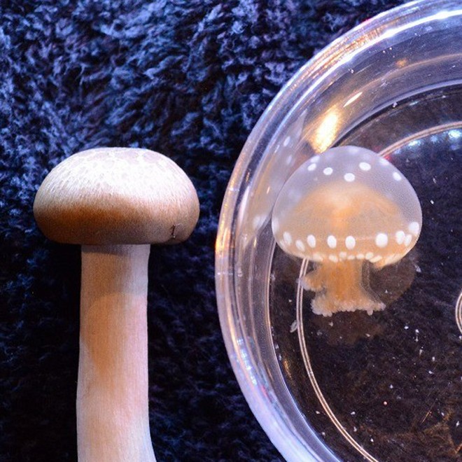 f484d111863be185f66105ad68a841