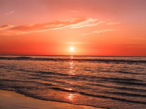 パワハラと転職4回の先にある景色。私が私を守るために