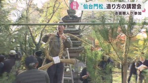 江戸時代の仙台城下で飾られた仙台門松　講習会開催で復元を