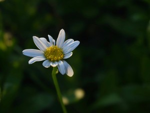 「まず謝罪」大人になり仕事ではその価値がわかるようになったけど