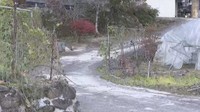 夫(91)が駐車した軽トラが後退し妻(90)に衝突…その後妻死亡　岡山・鏡野町
