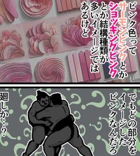 街で聞いた驚きの〇〇ピンク（退屈健さん提供）