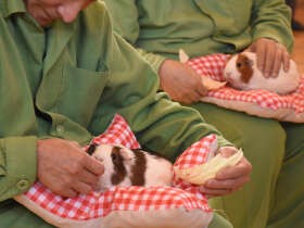動物と触れ合う「アニマルセラピー」　受刑者らの更生を支援　
