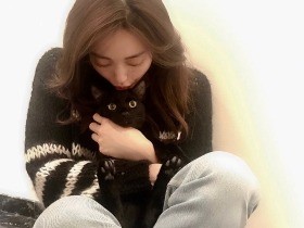 ゴロゴロの保護猫「ごろりん」にメロメロ　ちび２匹もうちの猫に