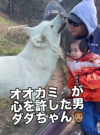 飼育員さんも驚きの距離感！（提供：＠bokumarleyさん）