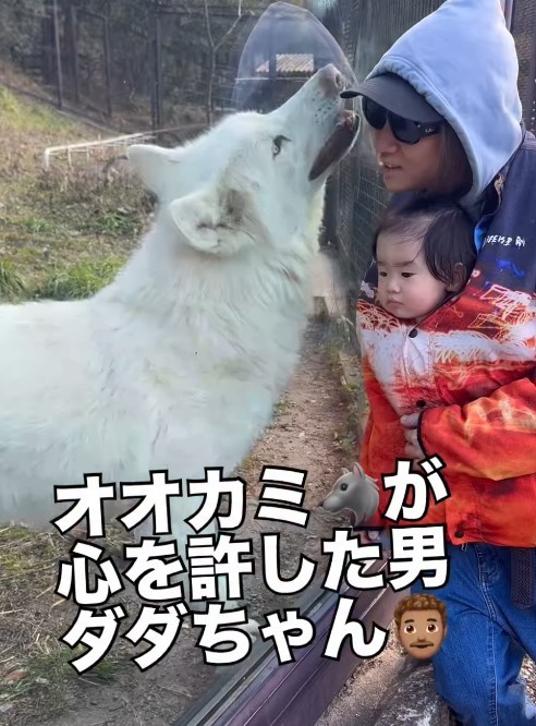 飼育員さんも驚きの距離感！（提供：＠bokumarleyさん）