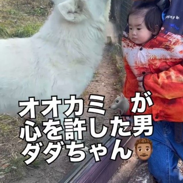 飼育員さんも驚きの距離感！（提供：＠bokumarleyさん）