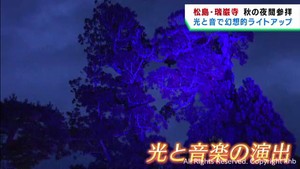 宮城・瑞巌寺でライトアップ始まる　夜間参拝で境内が幻想的に照らされる