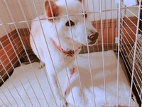 再び自力で立てるようになった時