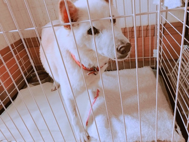再び自力で立てるようになった時